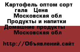 Картофель оптом сорт гала › Цена ­ 18 - Московская обл. Продукты и напитки » Домашние продукты   . Московская обл.